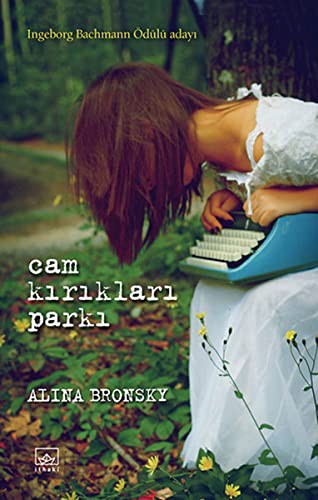 Cam Kırıkları Parkı kitap kapağı