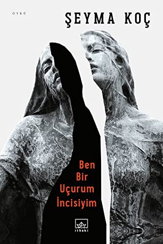 Ben Bir Uçurum İncisiyim kitap kapağı