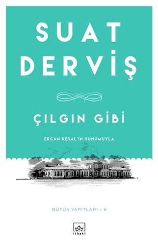 Çılgın Gibi kitap kapağı