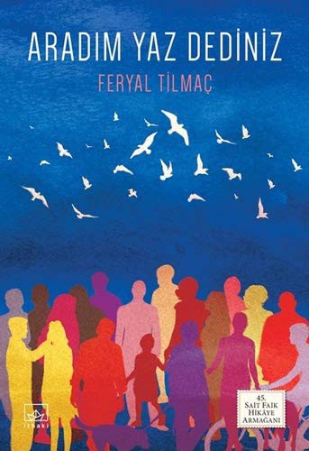 Aradım Yaz Dediniz kitap kapağı
