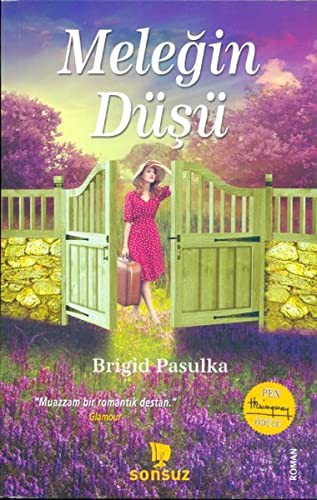 Meleğin Düşü kitap kapağı