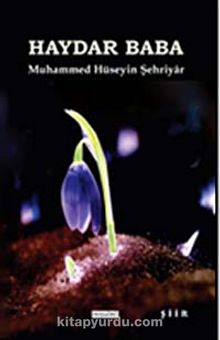 Haydar Baba kitap kapağı