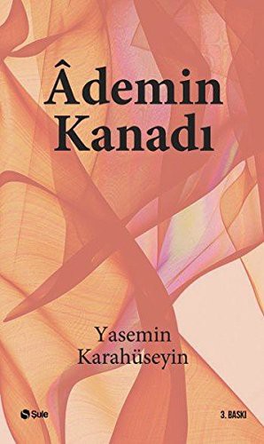 Ademin Kanadı (Roman Boy) kitap kapağı