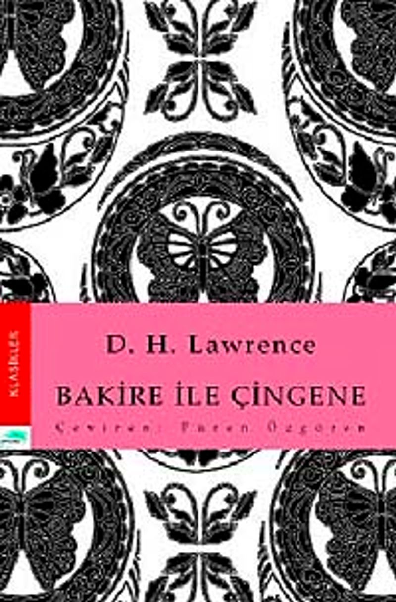 Bakire ile Çingene kitap kapağı