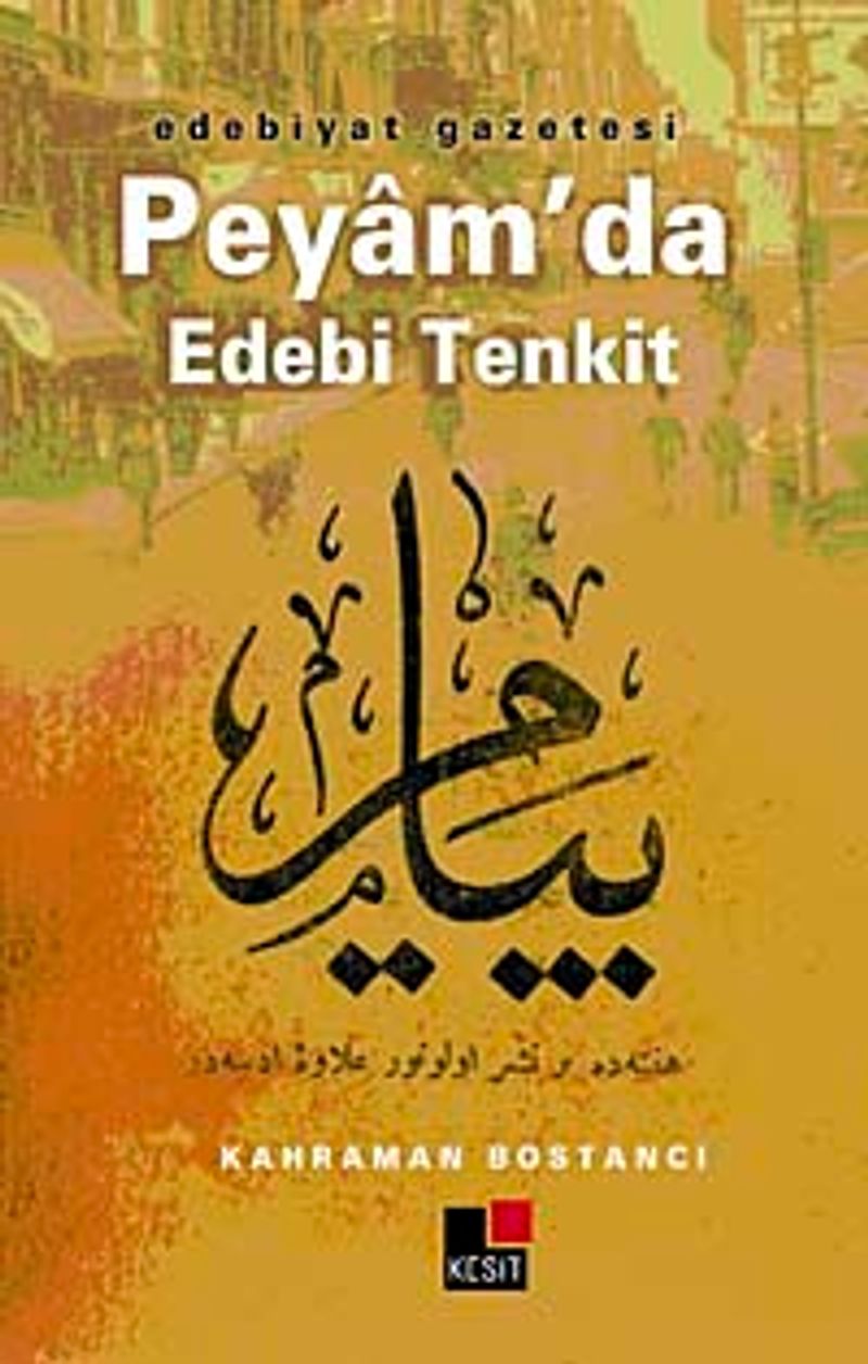 Edebiyat Gazetesi Peyam’da Edebi Tenkit kitap kapağı