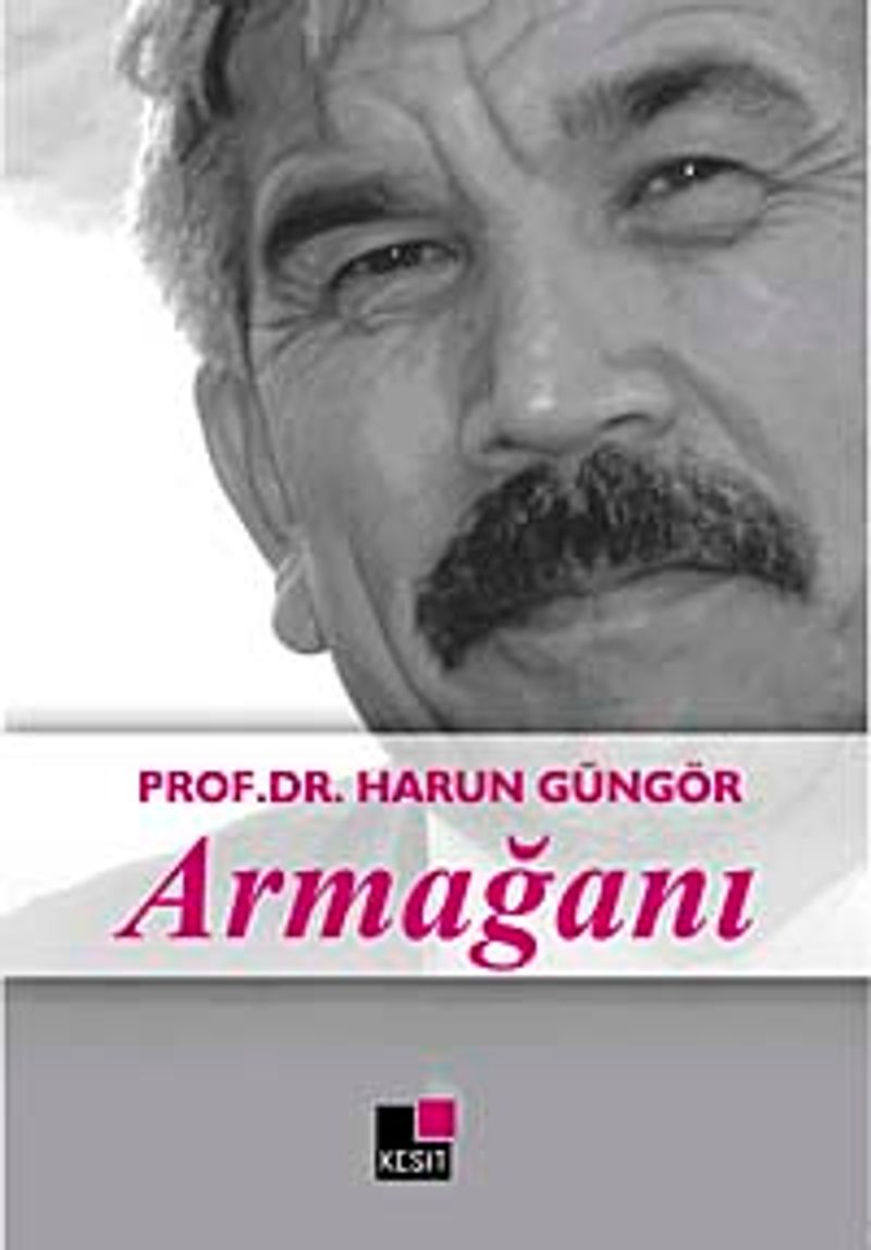 Prof. Dr.Harun Güngör Armağanı kitap kapağı
