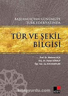 Başlangıçtan Günümüze Türk Edebiyatında Tür ve Şekil Bilgisi kitap kapağı