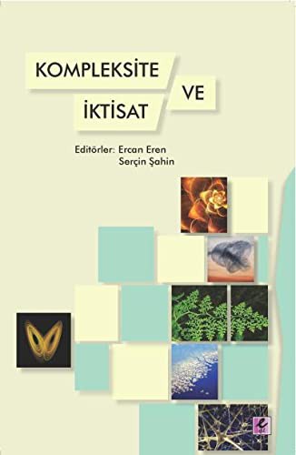 Kompleksite ve İktisat kitap kapağı