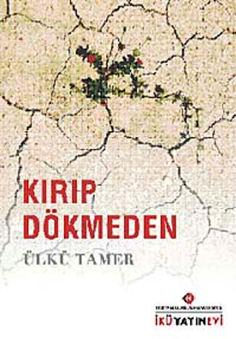 Kırıp Dökmeden kitap kapağı