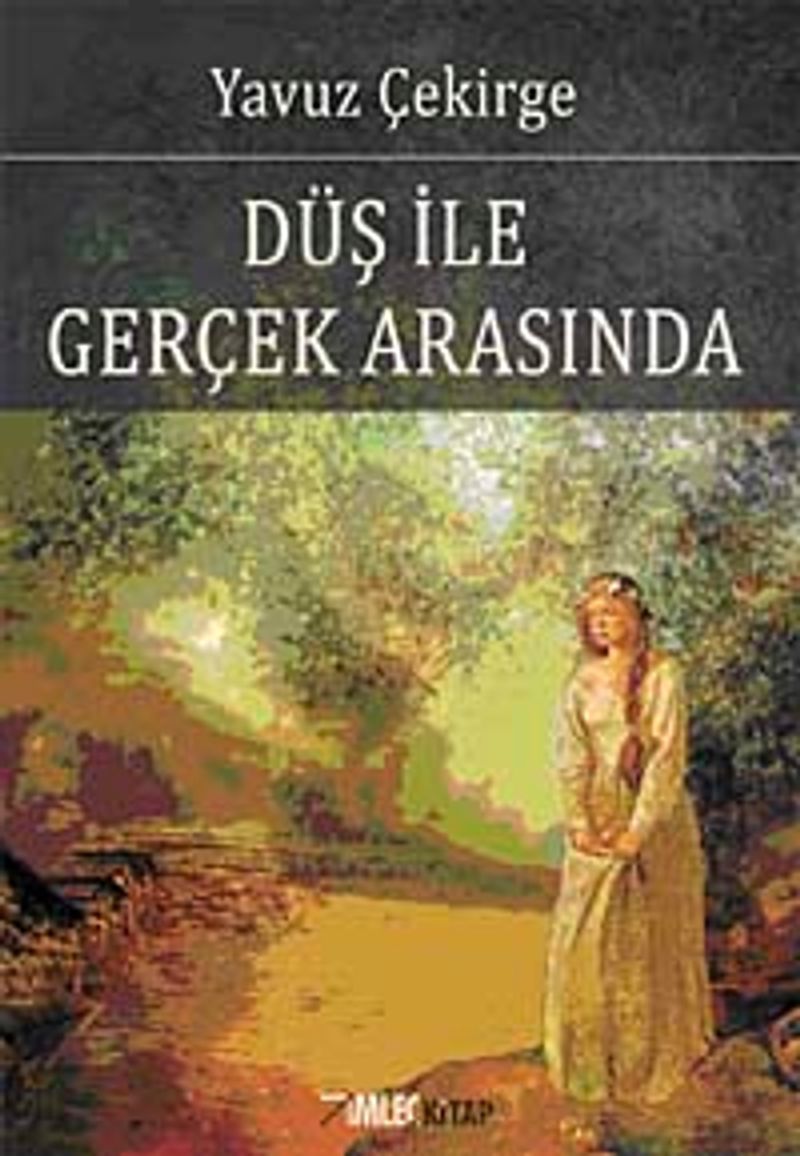 Düş ile Gerçek Arasında kitap kapağı