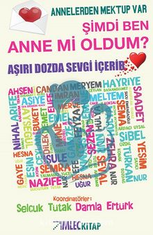 Şimdi Ben Anne Mi Oldum? kitap kapağı