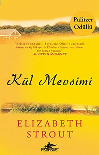 Kül Mevsimi kitap kapağı