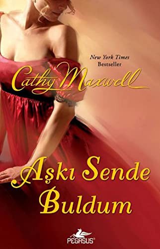 Aşkı Sende Buldum kitap kapağı