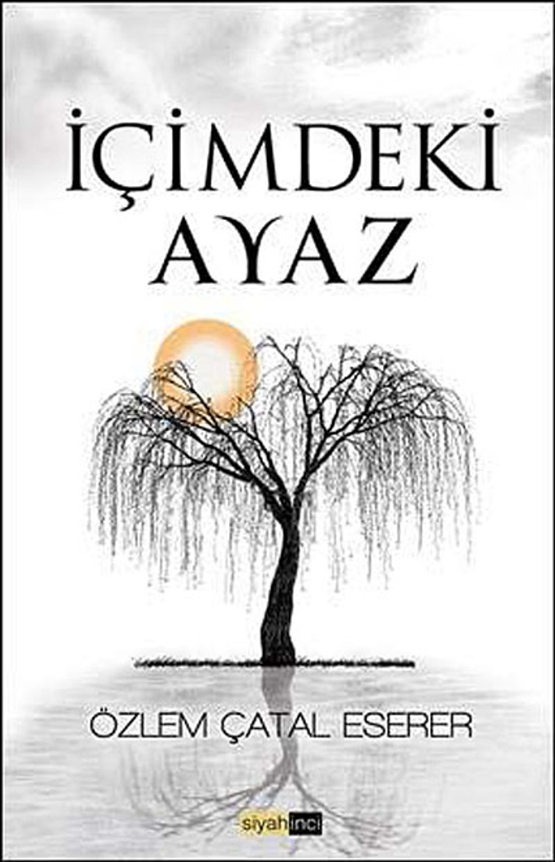 İçimdeki Ayaz kitap kapağı
