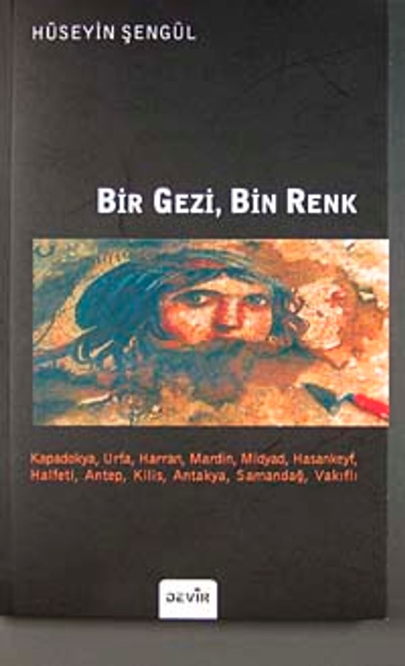 Bir Gezi, Bin Renk kitap kapağı