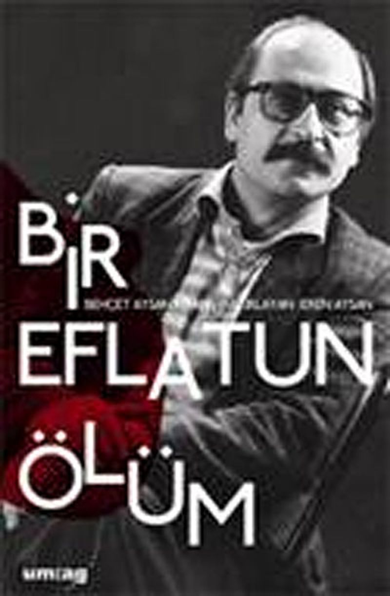 Bir Eflatun Ölüm kitap kapağı