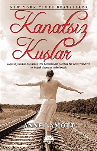 Kanatsız Kuşlar kitap kapağı