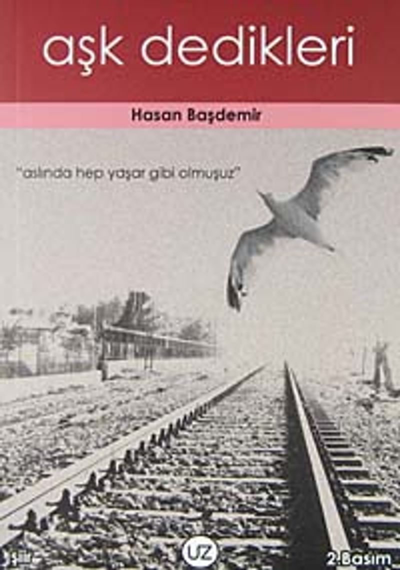 Aşk Dedikleri kitap kapağı