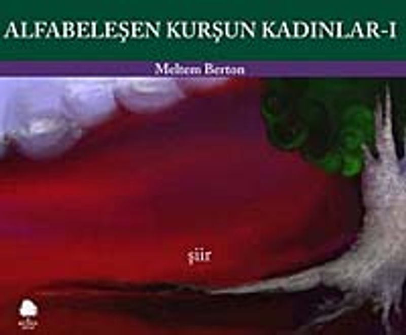 Alfabeleşen Kurşun Kadınlar -1 kitap kapağı