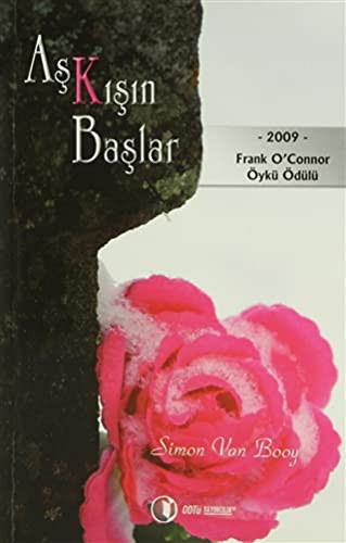 Aşk Kışın Başlar kitap kapağı
