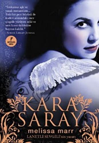 Kara Saray kitap kapağı