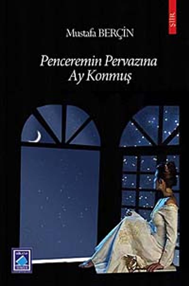 Penceremin Pervazına Ay Konmuş kitap kapağı