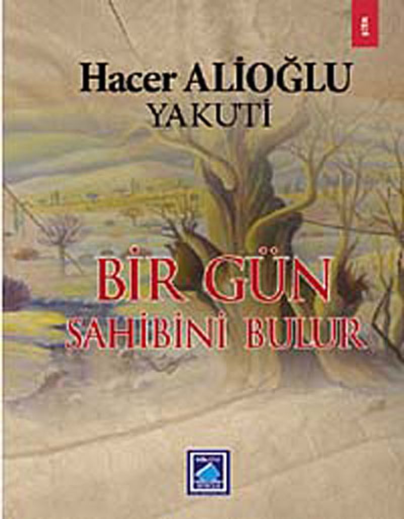 Bir Gün Sahibini Bulur kitap kapağı