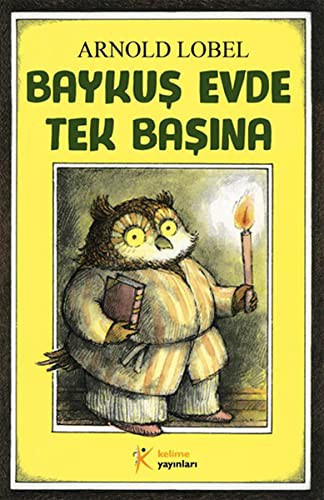 Baykuş Evde Tek Başına kitap kapağı