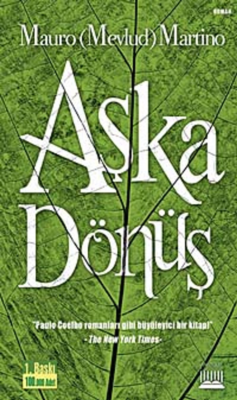 Aşka Dönüş kitap kapağı