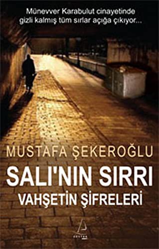 Salı'nın Sırrı Vahşetin Şifreleri kitap kapağı