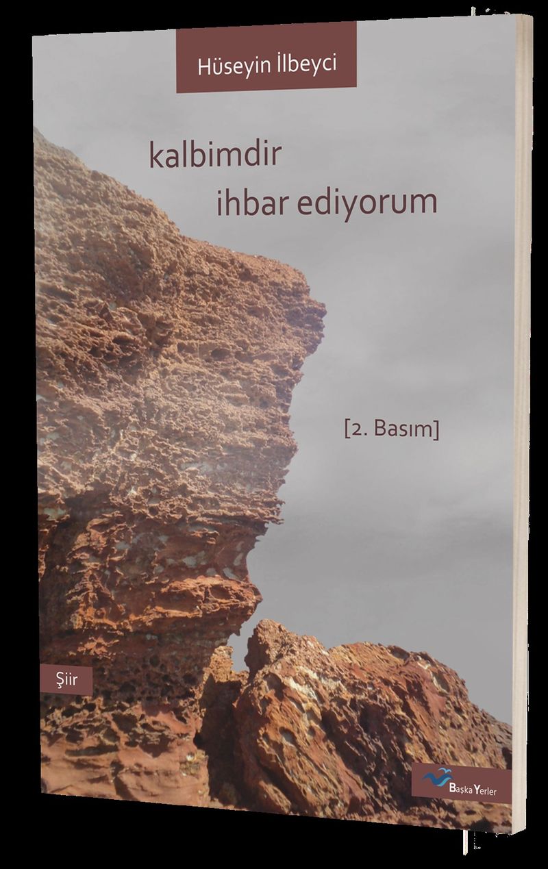 Kalbimdir İhbar Ediyorum kitap kapağı