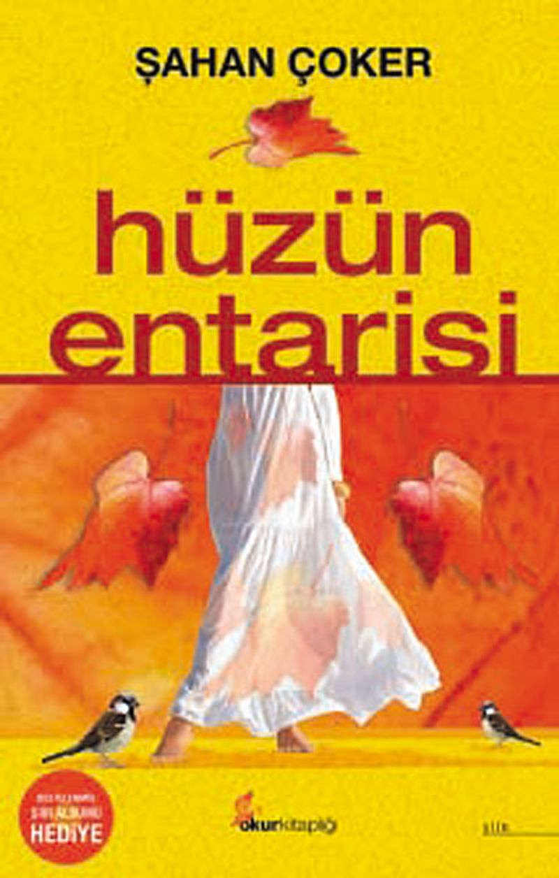 Hüzün Entarisi kitap kapağı