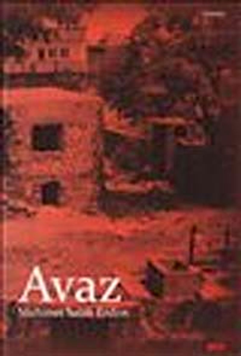 Avaz kitap kapağı