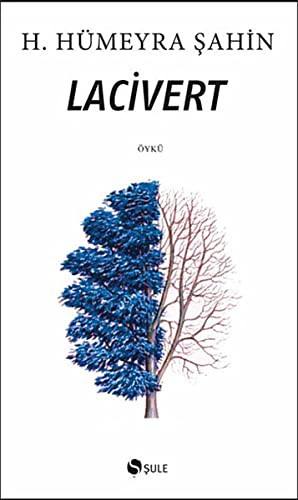 Lacivert kitap kapağı