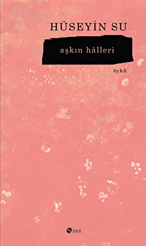 Aşkın Halleri kitap kapağı