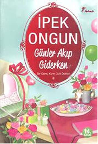 Günler Akıp Giderken / Bir Genç Kızın Gizli Defteri-8 kitap kapağı