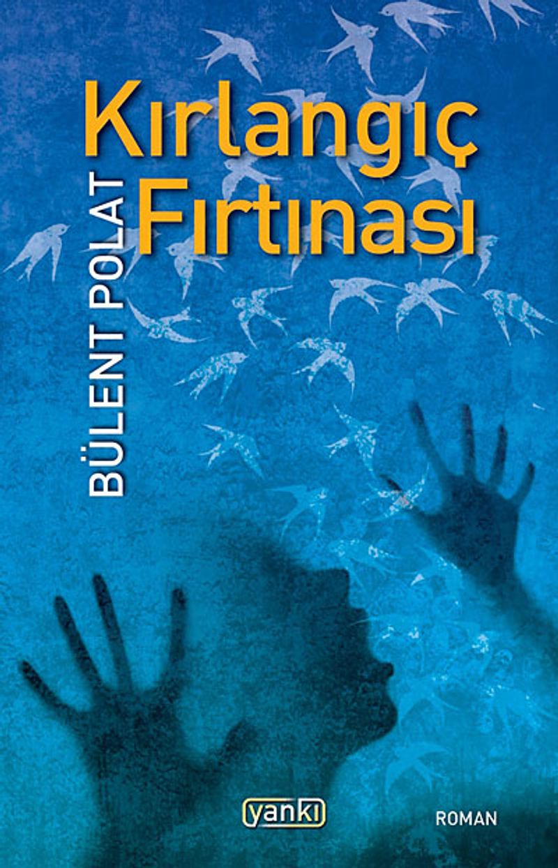Kırlangıç Fırtınası kitap kapağı