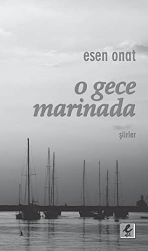 O Gece Marinada kitap kapağı