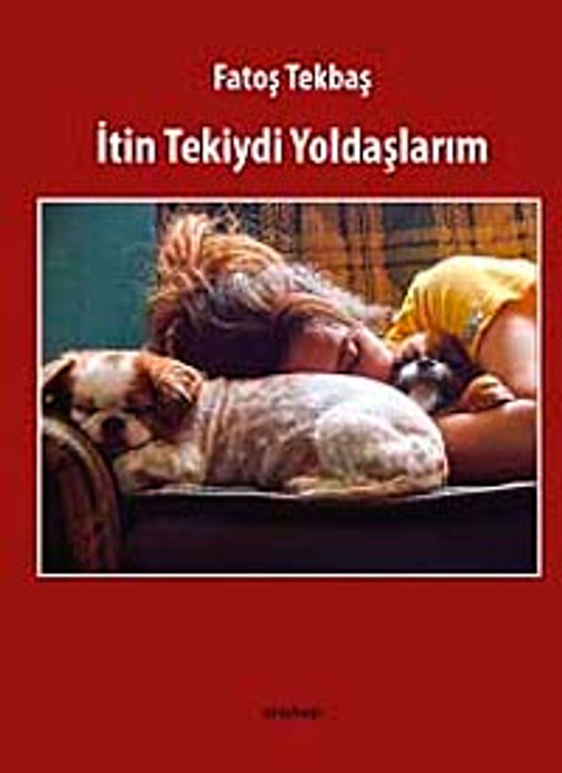 İtin Tekiydi Yoldaşlarım kitap kapağı