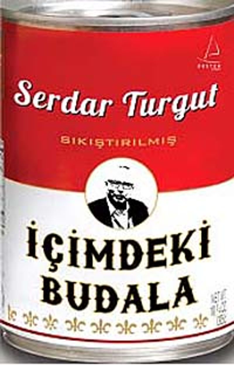 İçimdeki Budala kitap kapağı