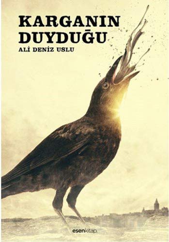 Karganın Duyduğu kitap kapağı