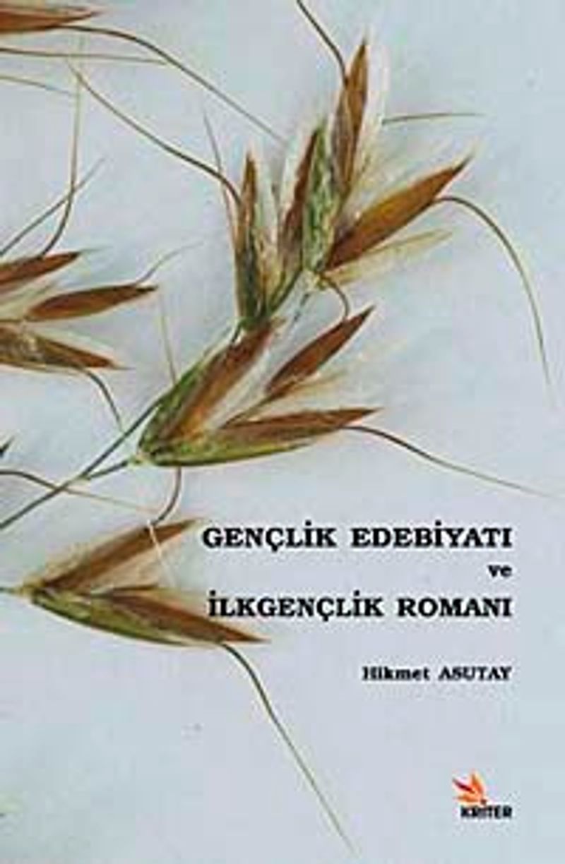 Gençlik Edebiyatı ve İlkgençlik Romanı kitap kapağı