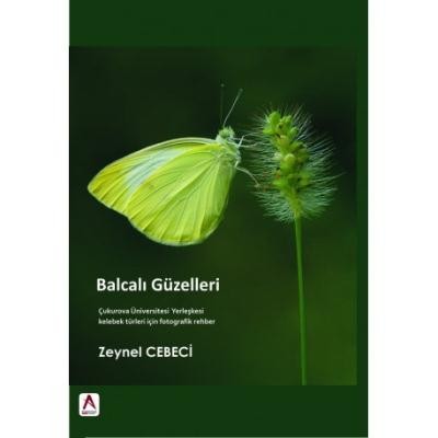 Balcalı Güzelleri kitap kapağı