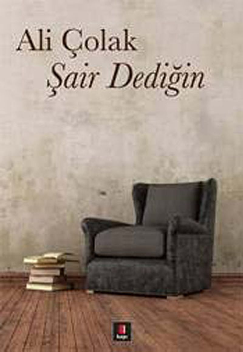 Şair Dediğin kitap kapağı