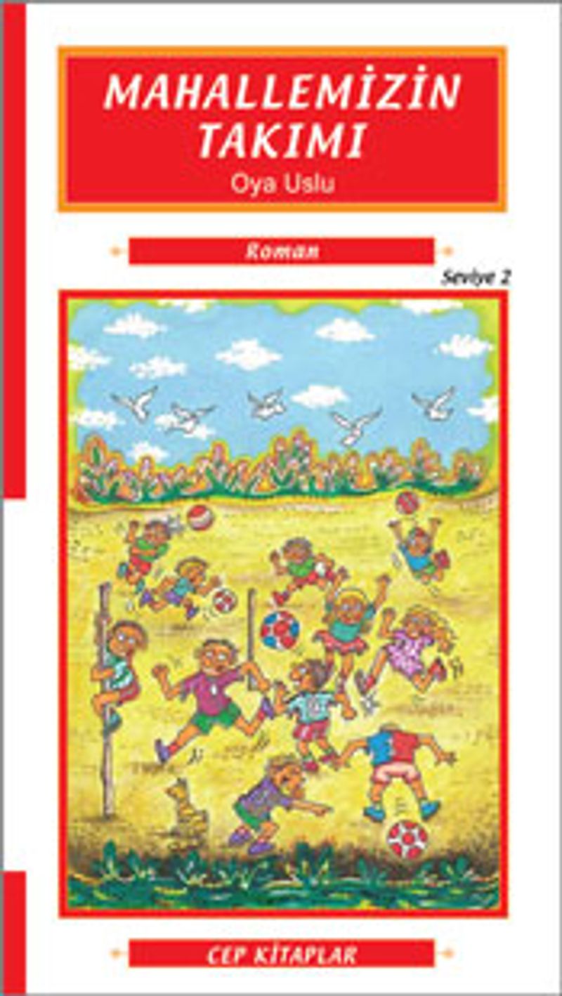 Mahallemizin Takımı kitap kapağı