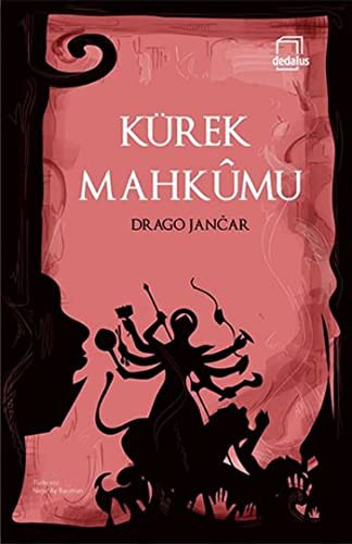 Kürek Mahkumu kitap kapağı