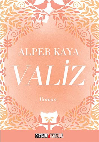 Valiz kitap kapağı