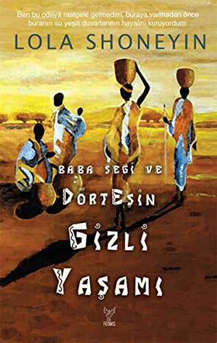 Baba Segi ve Dört Eşin Gizli Yaşamı kitap kapağı