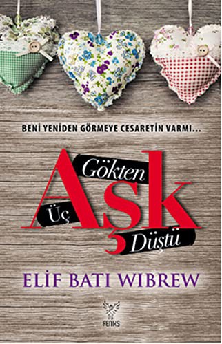 Gökten Üç Aşk Düştü kitap kapağı