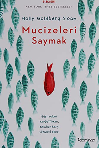 Mucizeleri Saymak kitap kapağı